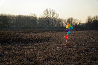 Renkli balon sonbahar alanında. Komik ruh hali, kutlama, tatil olay veya parti için hazır olun