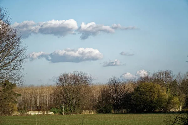 Jordbruk sätter in landskap, tomt slipat, blått skyen och moln i våren — Stockfoto