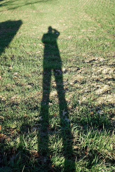 Shadows of tree and human on the field in spring