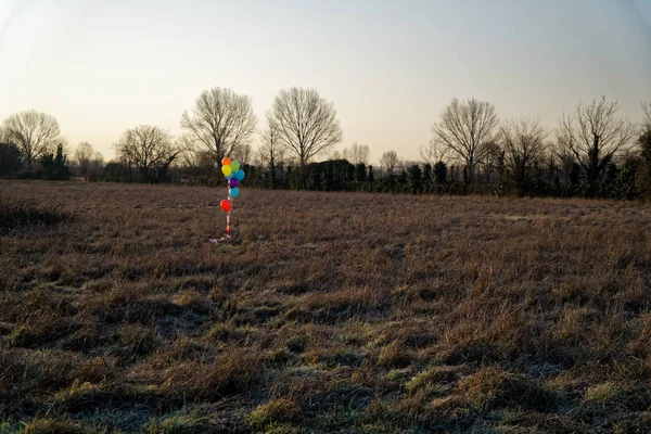 Globo de colores en el campo de otoño. humor divertido, prepararse para la celebración, evento de vacaciones o fiesta —  Fotos de Stock