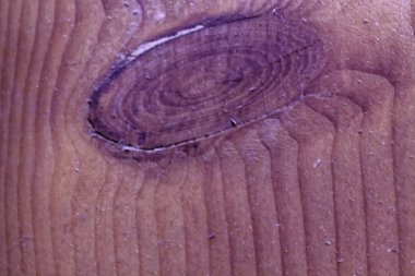 Orkide haze yakın çekim doku doğal arka plan, ahşap yüzey olarak kabuk ahşap kullanımı