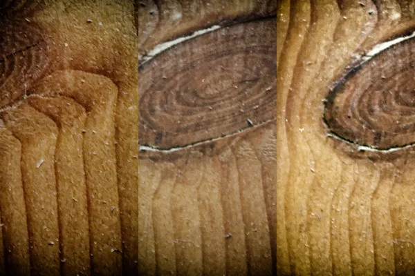 Close up textura do uso da madeira da casca como fundo natural — Fotografia de Stock