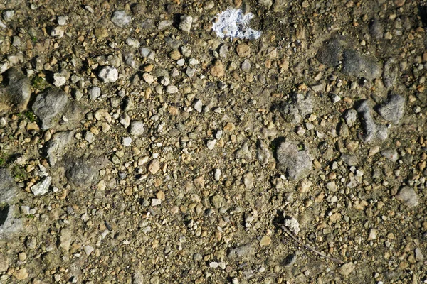 Struttura del terreno, superficie sabbiosa, fondo di pietra — Foto Stock