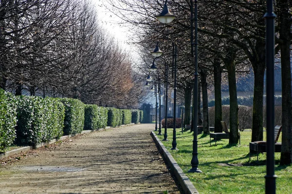 Chodnik w parku publicznym, spokój scena sielankowy tło — Zdjęcie stockowe