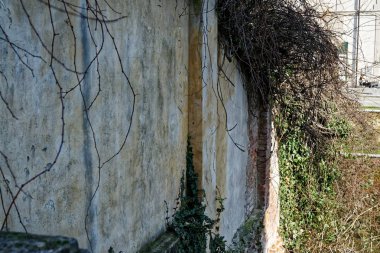 Çimento-Beton Sanayi doku, taş yüzey kaya arka plan