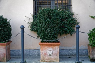 Saksıyı daha önce çelik zincir çit ile çalı