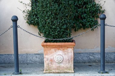 Saksıyı daha önce çelik zincir çit ile çalı