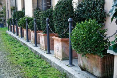 Saksıyı daha önce çelik zincir çit ile çalı