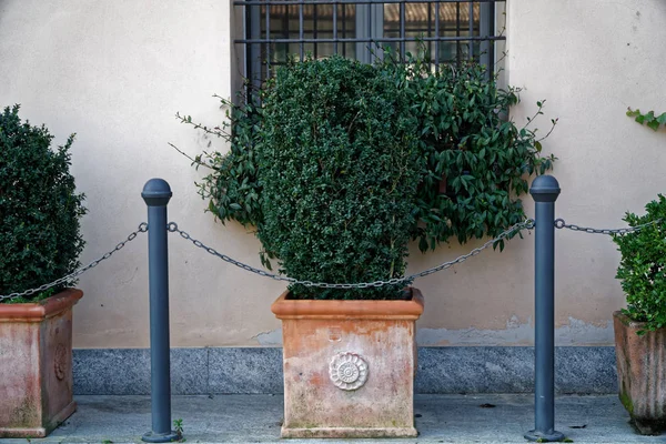 Saksıyı daha önce çelik zincir çit ile çalı