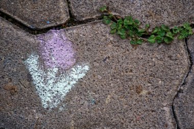 çiçek tebeşir kaldırımda, mutlu arka plan çocuklar tarafından boyalı