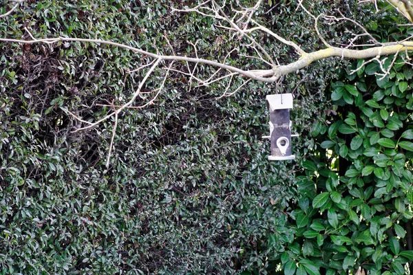 Alimentadores metálicos para aves. casa del árbol para los pájaros, apartamento alegre —  Fotos de Stock