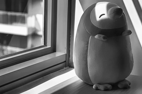 Pingvin leksak sitter vid fönstret i Shadows — Stockfoto