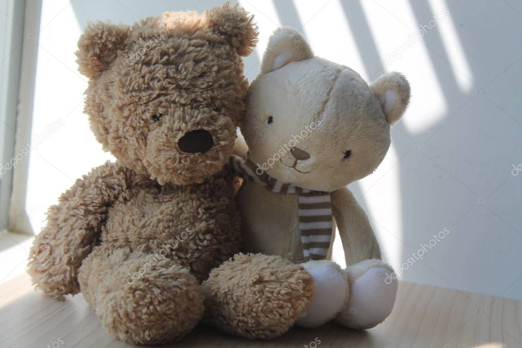 Brown Bear and kitten toy sitting by the window in shadows