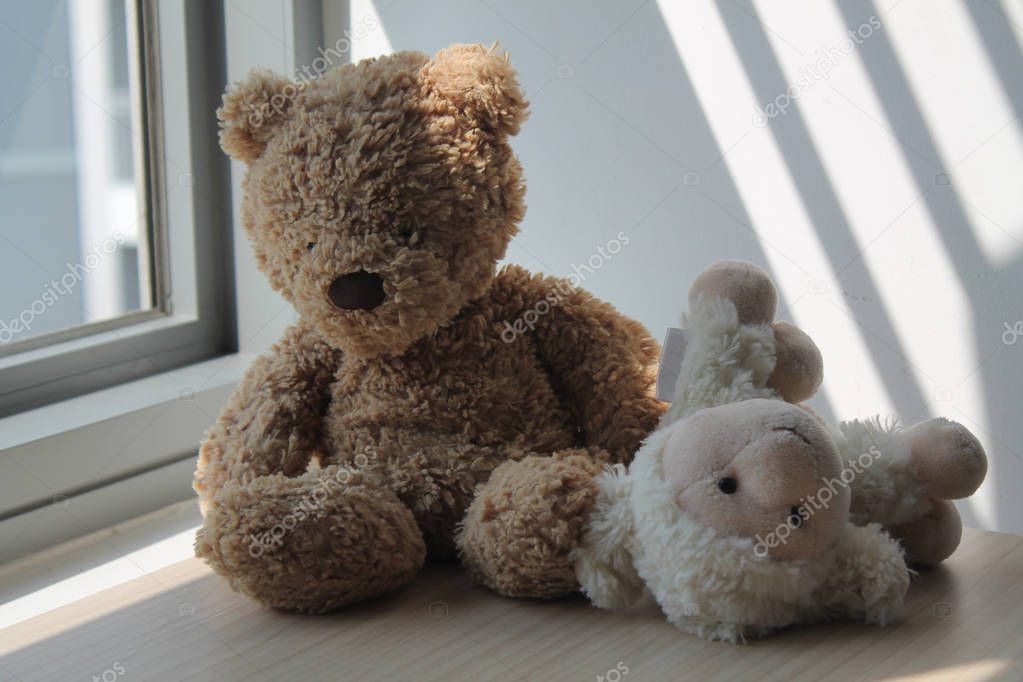Bear and lamb toy sitting by the window in shadows