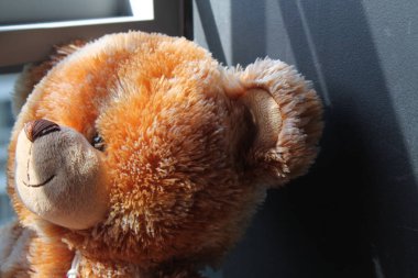 Oyuncak ayıcık beyaz arkaplanda izole edildi