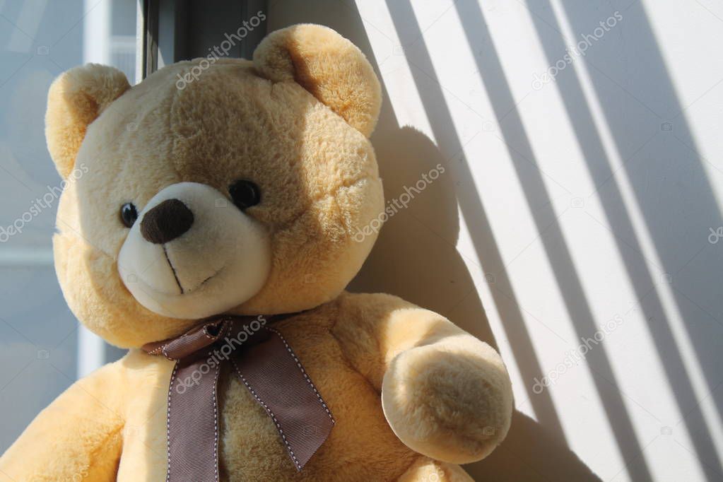 Bear toy sitting by the window in shadows