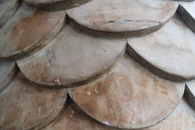 Brown güneş ışığında, ahşap squama arka plan pul