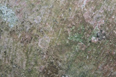 kumtaşı doku arka planı için