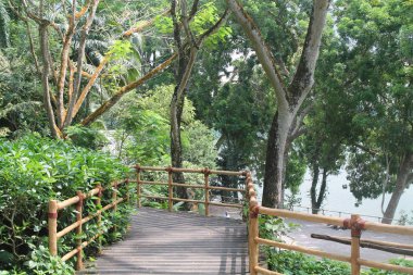 Singapur Hayvanat Bahçesi Hiking Trail. Güzel doğa