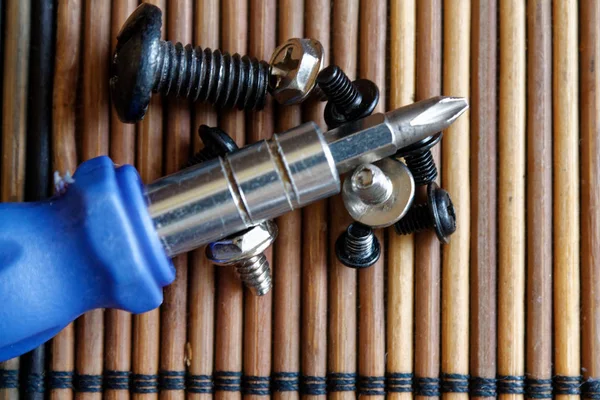 Head for screwdriver (bits) on wooden background, Tools collection turn-screw — Stock Photo, Image