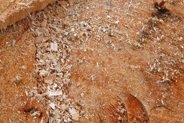 Güdük Ahşap yapı doku veya arka plan için