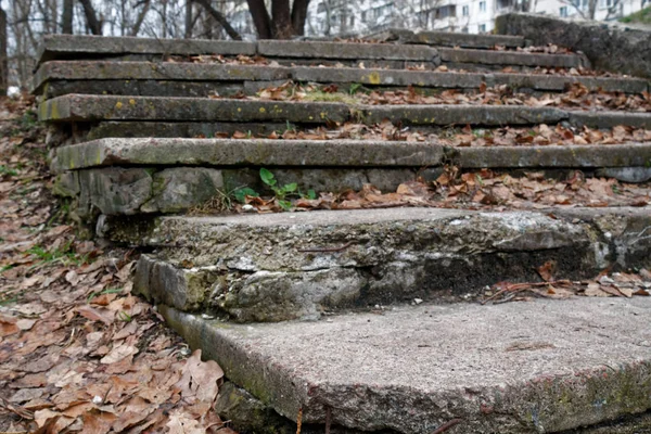 Cegły grunge kamień schody z jesienią liści, tło dla witryny sieci web lub urządzeń mobilnych — Zdjęcie stockowe