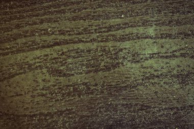 Sonbaharda akçaağaç ahşap arka plan veya web sitesi veya mobil cihazlar için doku boyalı