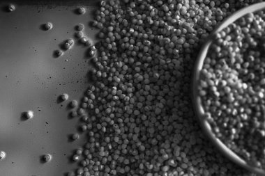 Tek renkli tahıl darı doku veya arka plan kavramı doğru beslenme ve sağlıklı yaşam biçimi olarak küçük tabak içinde. Üstten Görünüm, arka plan veya doku olarak yakın çekim.