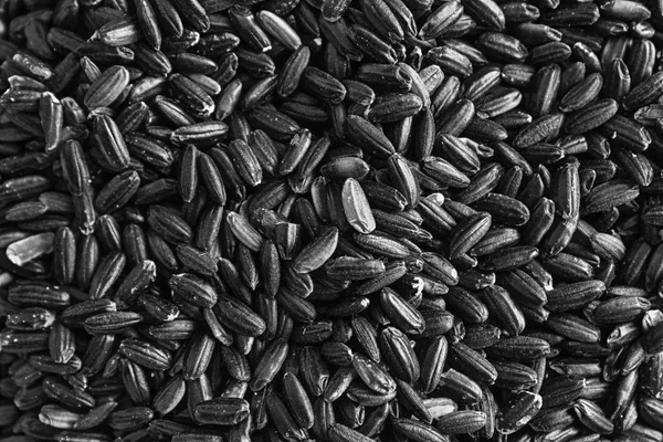Monochrome Texture of Coarse black rice The concept of proper nutrition and healthy lifestyle. Top view, close-up as background or texture