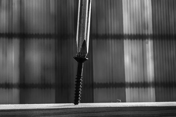 Parafuso monocromático parafusado com chave de fenda na prancha de madeira — Fotografia de Stock