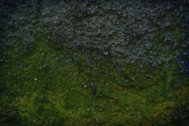 Eski alçı doku, web sitesi veya mobil cihazlar için taş arka plan