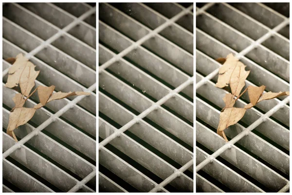 Escotilha de metal quadrado em pavimento urbano, tampa de esgoto bueiro com linhas de marcação e folha dentro — Fotografia de Stock