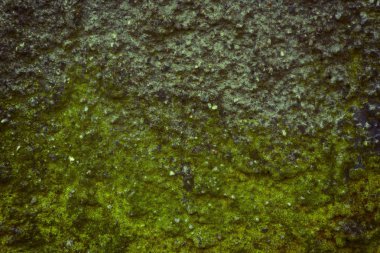 Eski alçı doku, web sitesi veya mobil cihazlar için taş arka plan