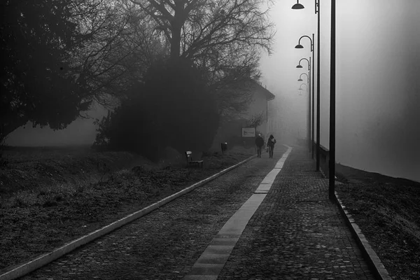 Mystical Walk path with fog silhouette of trees and man, misty w — Stock Photo, Image