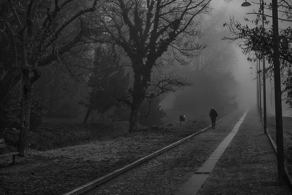 Mystical Walk path with fog silhouette of trees and man, misty w — Stock Photo, Image