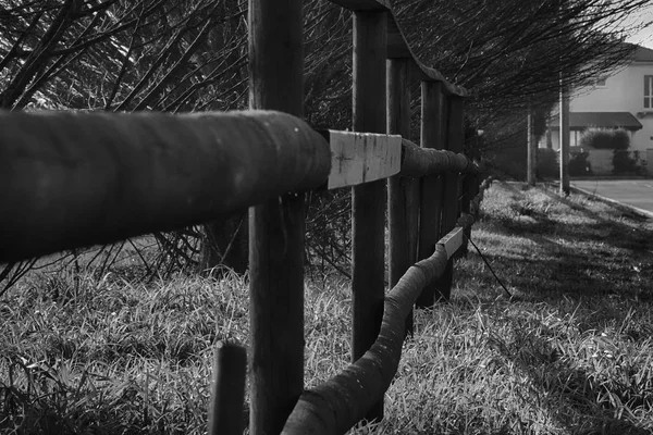 Fence in the green field near the road, good for background — Stock Photo, Image