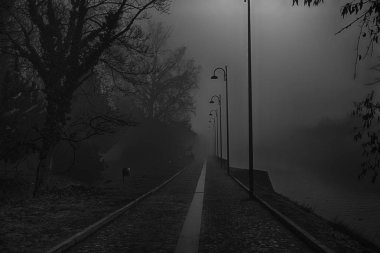 Ağaçlar, puslu walkside sis silueti ile mistik yürüyüş yolu,
