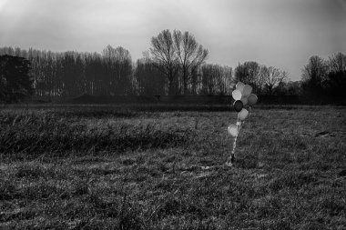 Renkli balon sonbahar alanında. Komik ruh hali, kutlama, tatil olay veya parti için hazır olun