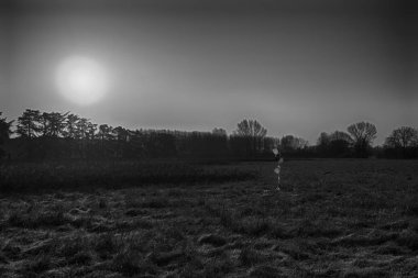 renkli balon sonbahar alanında. Komik ruh hali, ce için hazırlamak