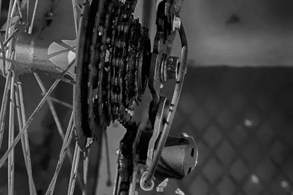 Roue arrière du vélo avec détail du système de transmission — Photo