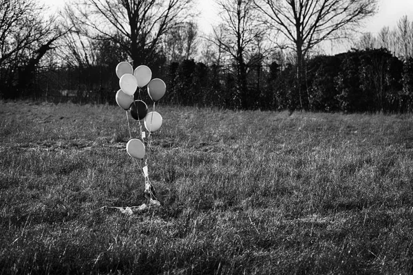 Bunte Luftballons im herbstlichen Feld. Lustige Stimmung, Vorbereitung auf Feiern, Feiertage oder Partys — Stockfoto