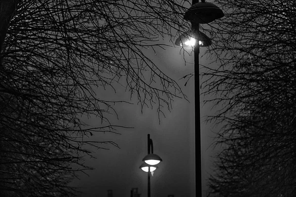 Pouliční osvětlení v mlhavé počasí, pozdě na podzim, mistic oparu či mlhy — Stock fotografie