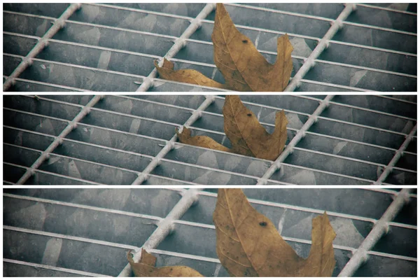 城市路面的方形金属舱口, 下水道井盖与标记线和叶子里面 — 图库照片