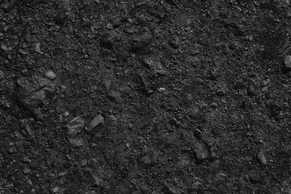 Fekete-fehér föld textúra, homok felület, a kő háttér jó design elem — Stock Fotó