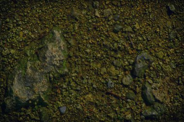 Mars, gibi Ultra turuncu yere iniş doku, kum yüzeyi, taş arka plan