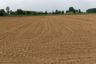 Hasat için zemin hazırlama toprak pulluk