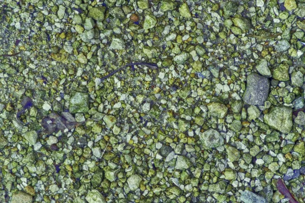 Çakıl yüzeyi, taş doku veya kaya zemin, zemin arka plan — Stok fotoğraf