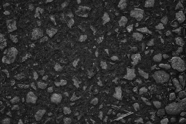 Monochrome Concrete pebble texture, stone surface, rock background — Stock Photo, Image