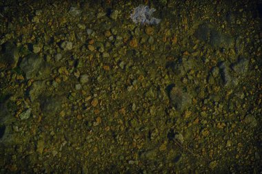 Ultra Sarı zemin doku kum yüzeyi, taş arka plan, iyi tasarım öğesi için