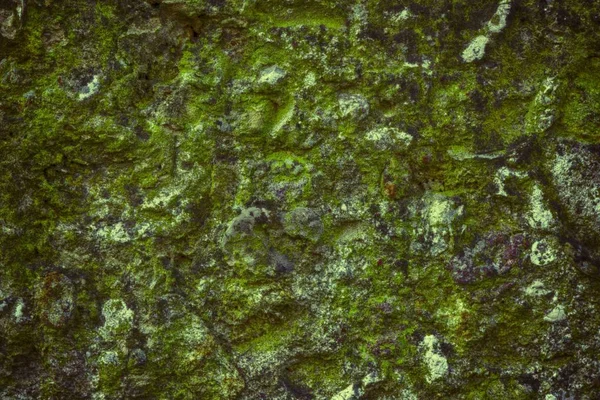Grunge Textura de cemento concreto, superficie de piedra, fondo de roca — Foto de Stock